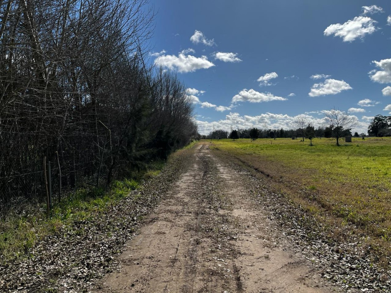 Venta terreno LOTE 40 en General Madariaga BARRIO CERRADO ACEPTA PERMUTA POR VEHICULO
