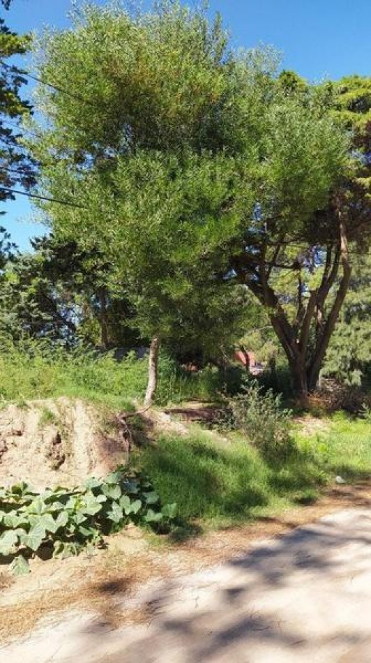 Venta de terreno en Valeria del Mar