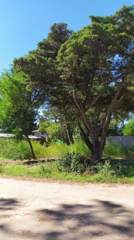 Venta de terreno en Valeria del Mar