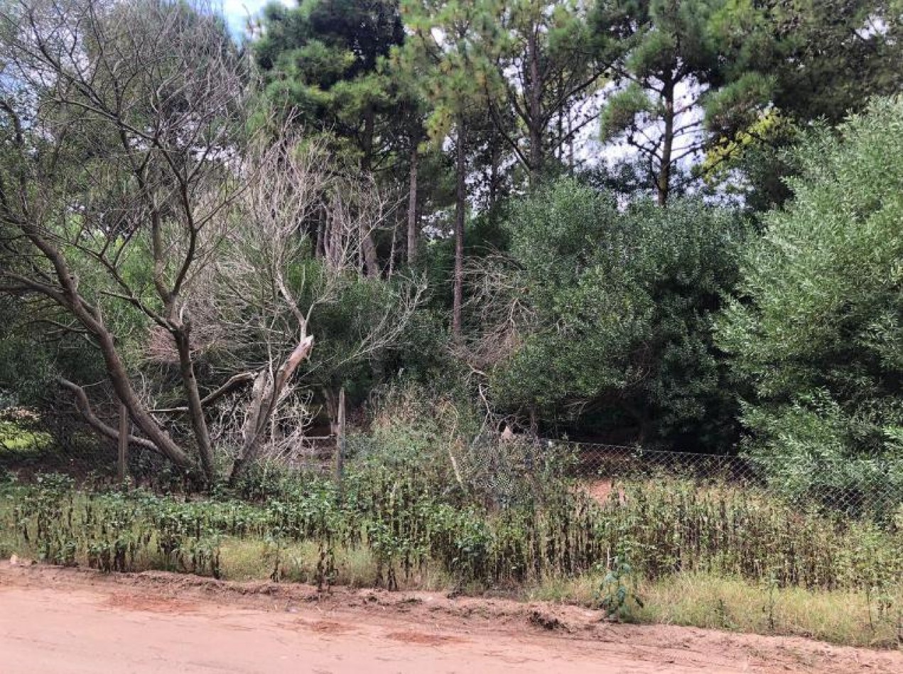Venta de terreno en Rincon del Tridente