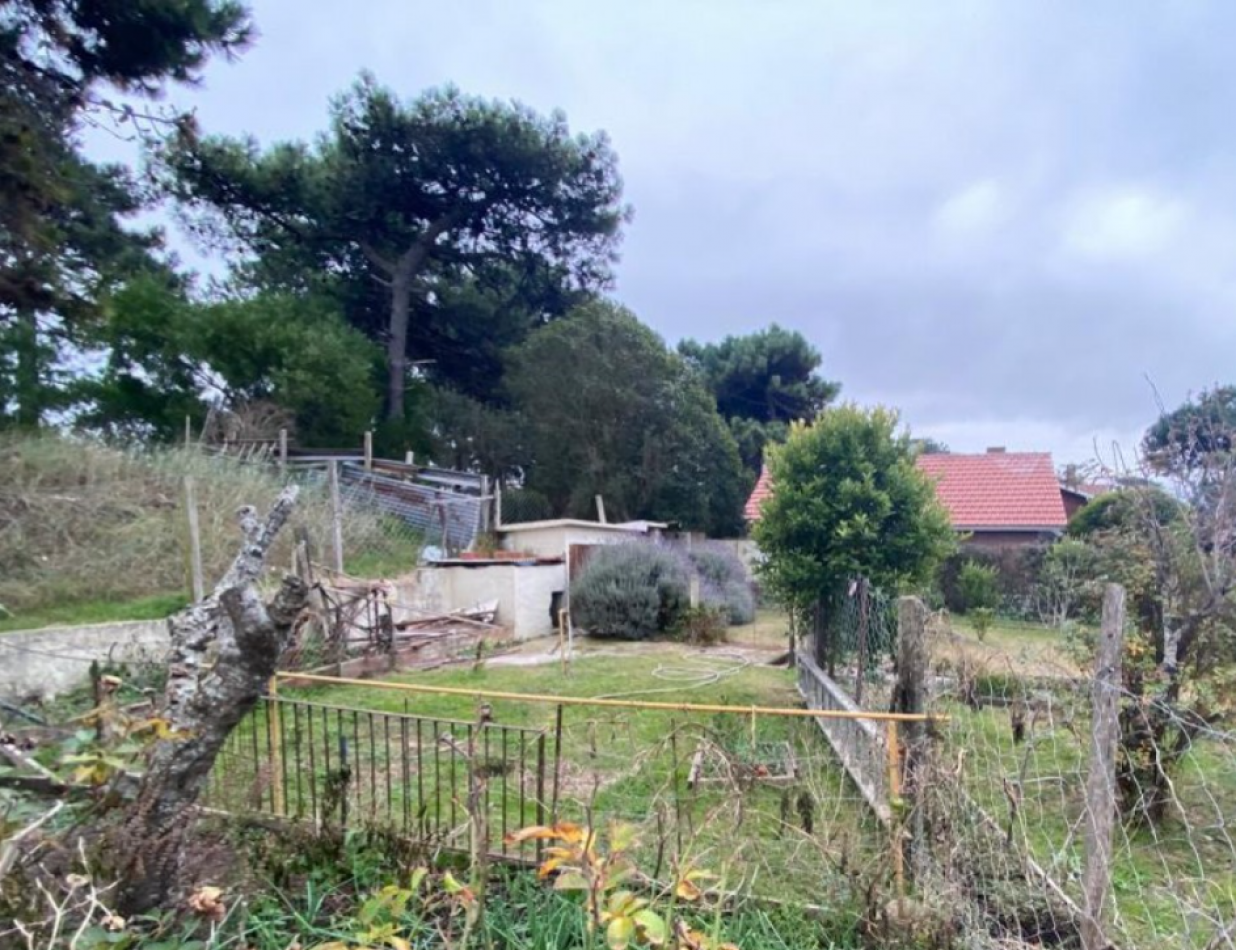 Casa con amplio parque en ostende ,divida en 3 departamentos.