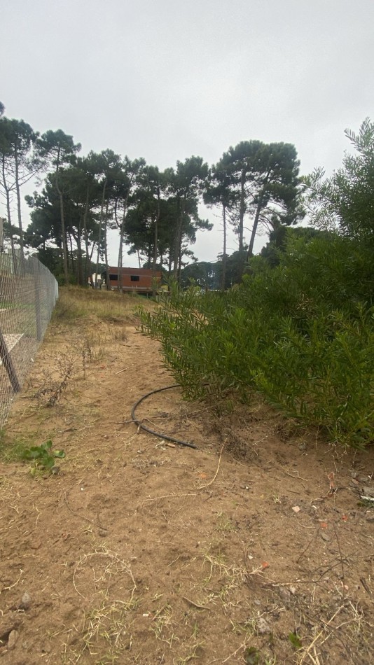 TERRENO EN VENTA EN PINAMAR calle cangrejo y neptuno