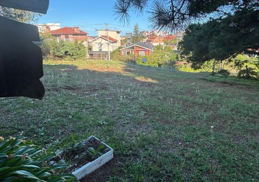 LOTE  MAR DE OSTENDE A 2 CUADRAS DEL MAR - ACEPTA PERMUTA