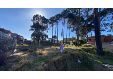 TERRENO EN VENTA EN PINAMAR calle cangrejo y neptuno 